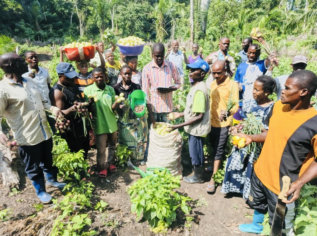 Des récoltes porteuses d’espoir à Mwanamusungu : l’OP Mapendo cultive la résilience 